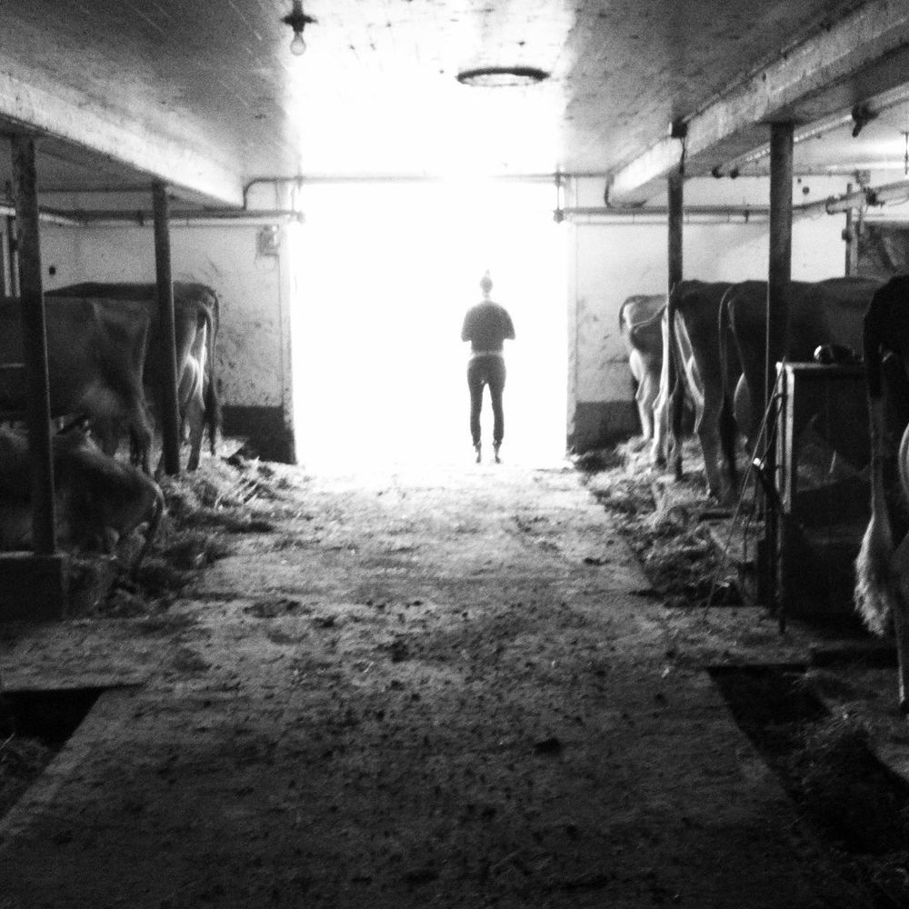 Meet your Posher, Amina